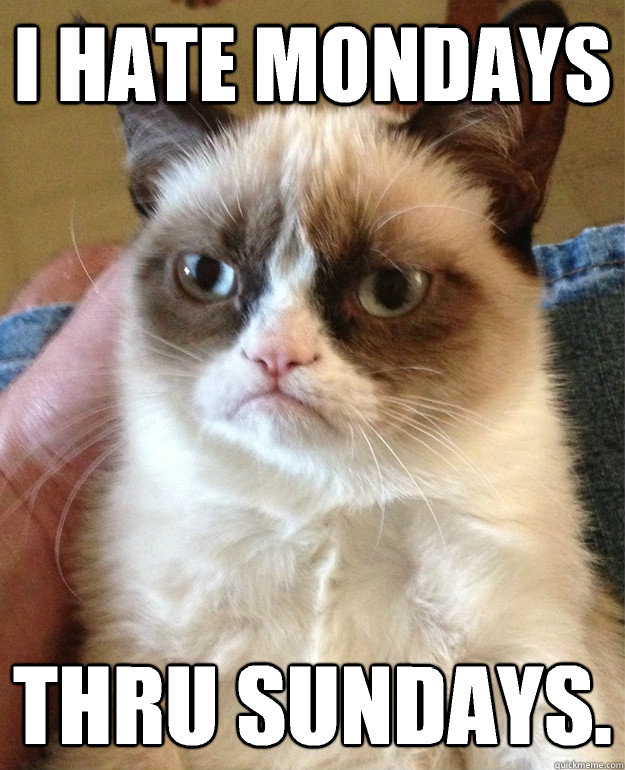 I hate Mondays Thru Sundays.   Grumpy Cat