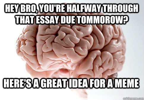 Hey bro, you're halfway through that essay due tommorow? Here's a great idea for a meme  Scumbag Brain