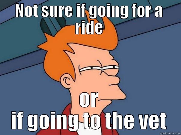 NOT SURE IF GOING FOR A RIDE OR IF GOING TO THE VET Futurama Fry