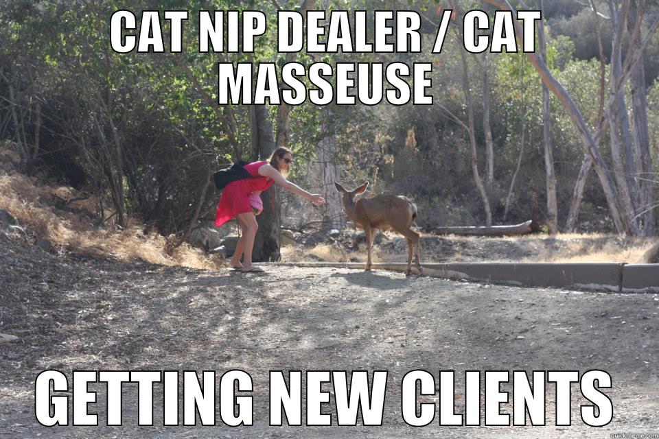 CAT NIP DEALER / CAT MASSEUSE GETTING NEW CLIENTS Misc