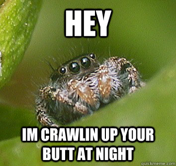 hey im crawlin up your butt at night  Misunderstood Spider