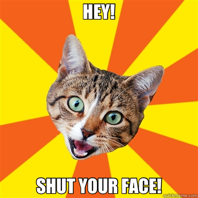 HEY! SHUT YOUR FACE!  Bad Advice Cat