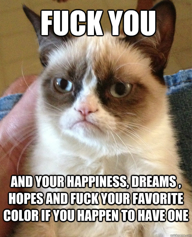  fuck you and your happiness, dreams , hopes and fuck your favorite color if you happen to have one  Grumpy Cat