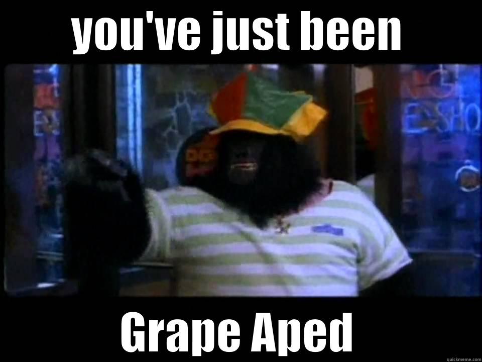 grape ape - YOU'VE JUST BEEN GRAPE APED Misc