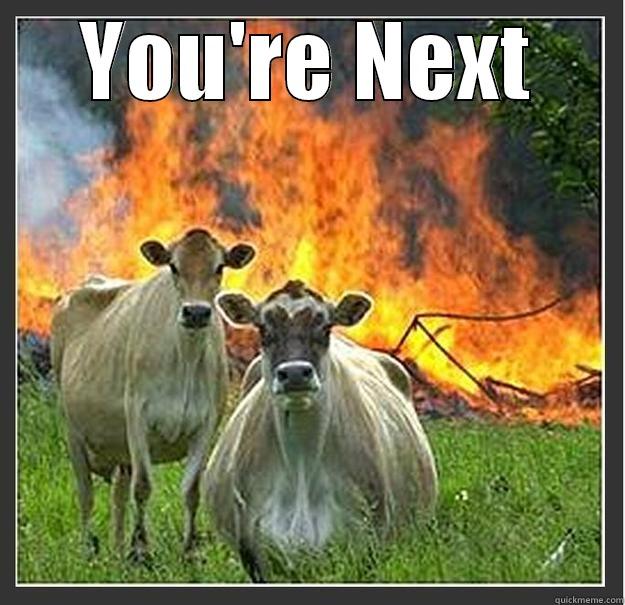 Killer Cows - YOU'RE NEXT  Evil cows