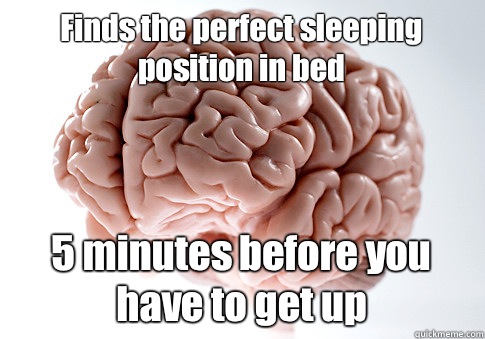 Finds the perfect sleeping position in bed 5 minutes before you have to get up   Scumbag Brain