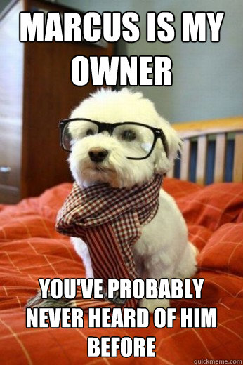 Marcus is my owner
 You've Probably Never Heard of him before  Hipster Dog