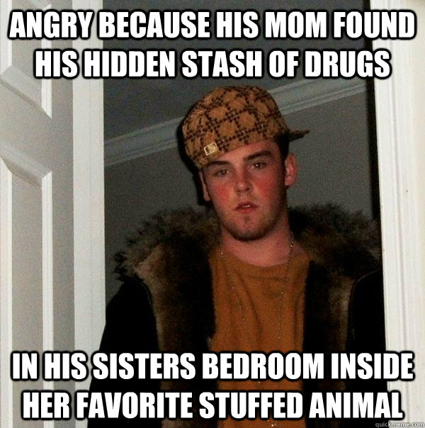 angry because his mom found his hidden stash of drugs In his sisters bedroom inside her favorite stuffed animal  Scumbag Steve