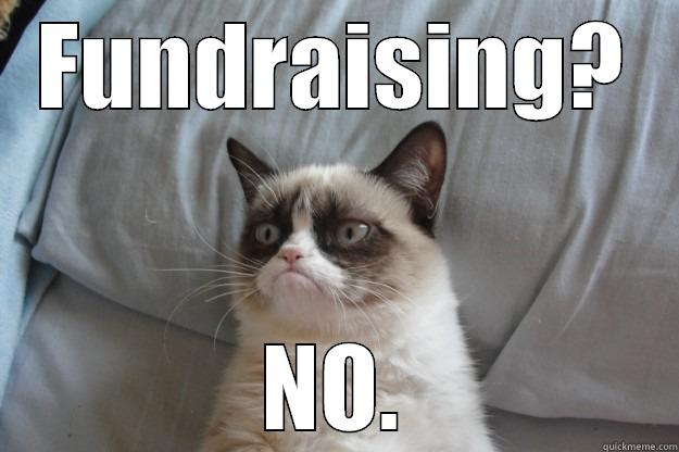 FUNDRAISING? NO. Grumpy Cat