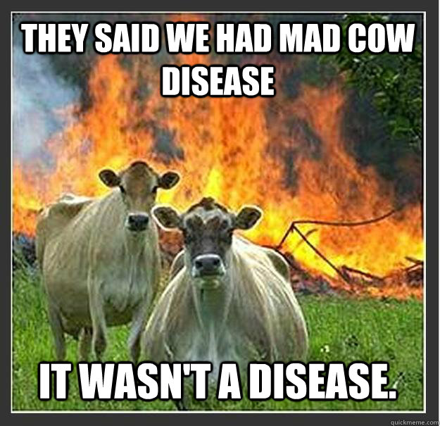 They said we had mad cow disease It wasn't a disease.  Evil cows