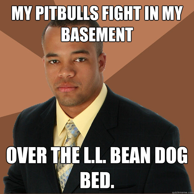 my pitbulls fight in my basement over the l.l. bean dog bed.  Successful Black Man