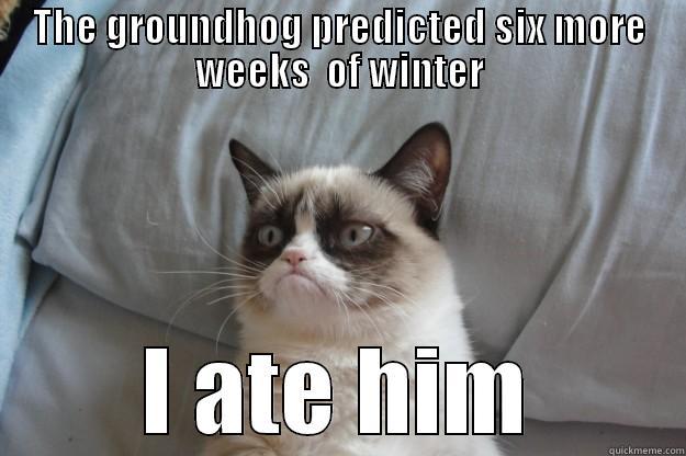 THE GROUNDHOG PREDICTED SIX MORE WEEKS  OF WINTER I ATE HIM Grumpy Cat