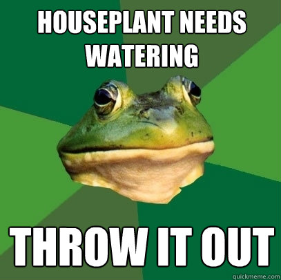 houseplant needs watering throw it out  Foul Bachelor Frog