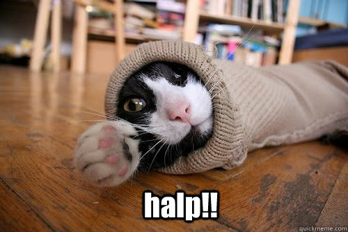 halp!!  halp lolcat