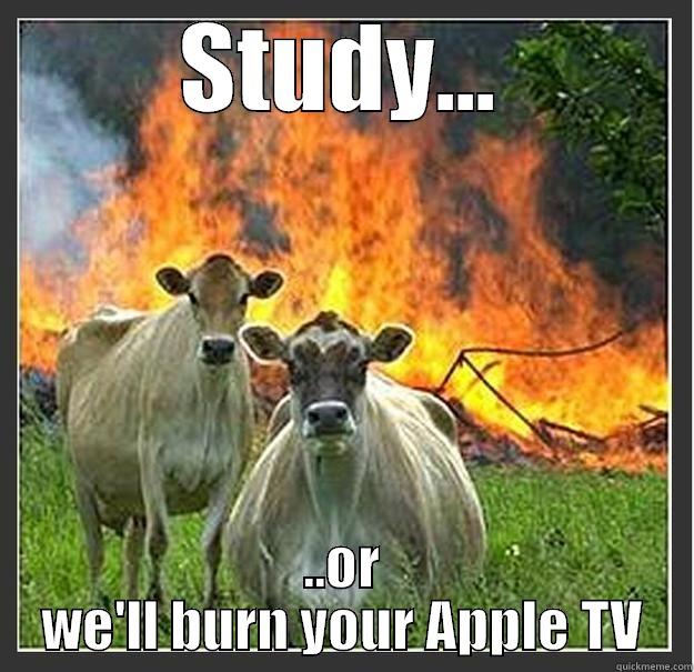 tv cow - STUDY... ..OR WE'LL BURN YOUR APPLE TV Evil cows