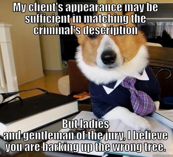 MY CLIENT'S APPEARANCE MAY BE SUFFICIENT IN MATCHING THE CRIMINAL'S DESCRIPTION BUT LADIES AND GENTLEMAN OF THE JURY, I BELIEVE YOU ARE BARKING UP THE WRONG TREE. Lawyer Dog