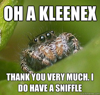 oh a kleenex Thank you very much. I do have a sniffle  Misunderstood Spider