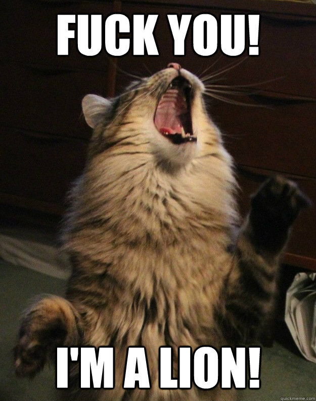 FUCK YOU! I'm a Lion!  