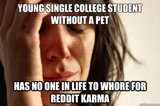 young single college student without a pet Has no one in life to whore for reddit karma  First World Problems