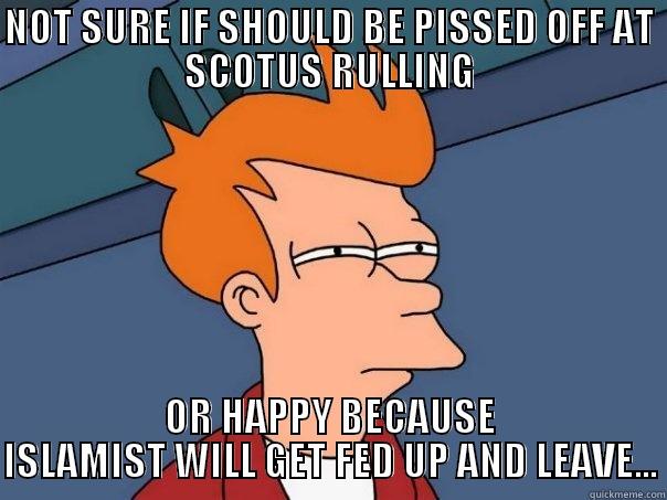 PERPLEXED  - NOT SURE IF SHOULD BE PISSED OFF AT SCOTUS RULLING OR HAPPY BECAUSE ISLAMIST WILL GET FED UP AND LEAVE... Futurama Fry