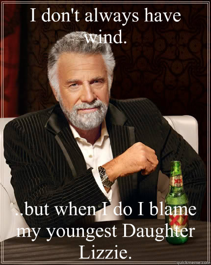 I don't always have wind. ..but when I do I blame my youngest Daughter Lizzie.  The Most Interesting Man In The World