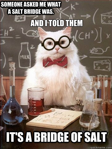  And I told them It's a Bridge of Salt Someone asked me what a Salt Bridge was.  Chemistry Cat