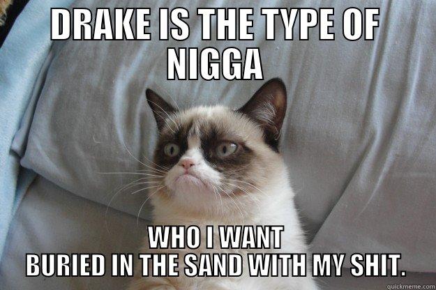 DRAKE IS THE TYPE OF NIGGA WHO I WANT BURIED IN THE SAND WITH MY SHIT. Grumpy Cat