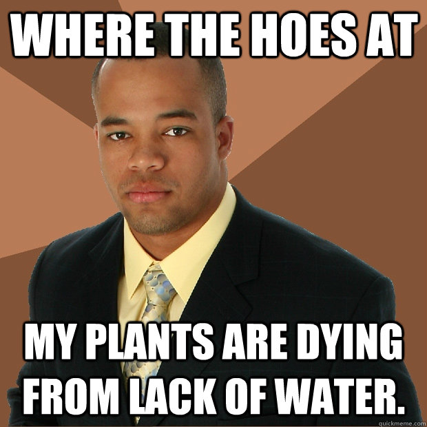 where the hoes at my plants are dying from lack of water.  Successful Black Man