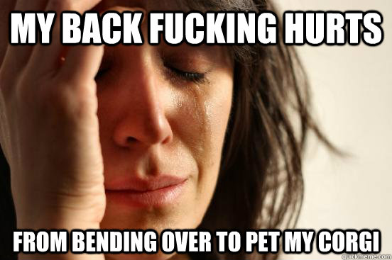 my back fucking hurts  from bending over to pet my corgi  - my back fucking hurts  from bending over to pet my corgi   First World Problems