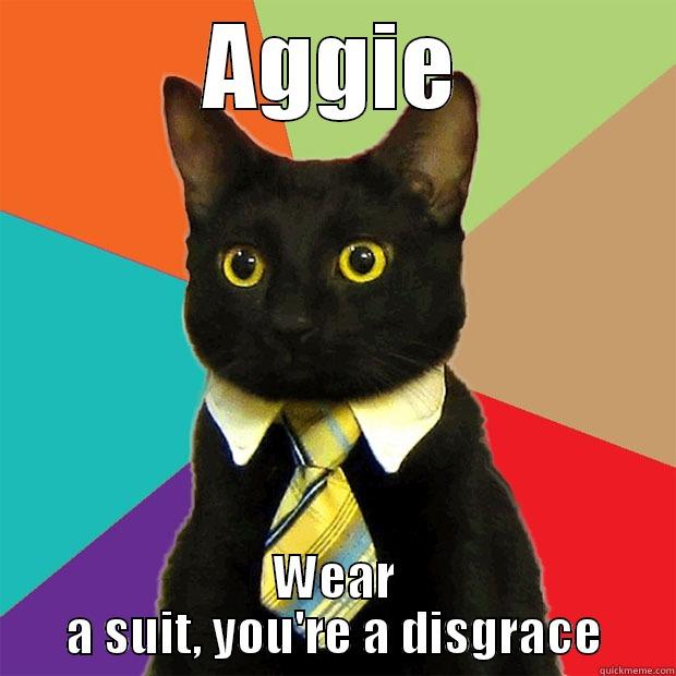 AGGIE WEAR A SUIT, YOU'RE A DISGRACE Business Cat