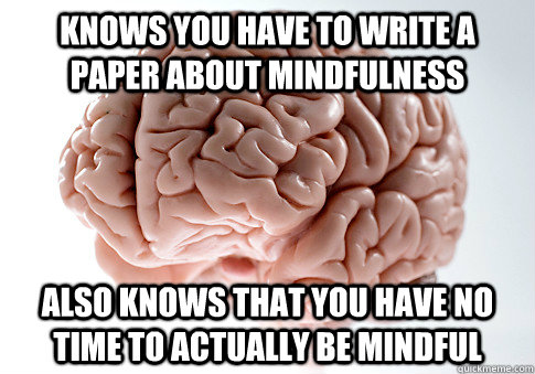 Knows you have to write a paper about mindfulness also knows that you have no time to actually be mindful - Knows you have to write a paper about mindfulness also knows that you have no time to actually be mindful  Scumbag Brain