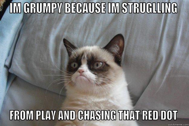 IM GRUMPY BECAUSE IM STRUGLLING FROM PLAY AND CHASING THAT RED DOT Grumpy Cat