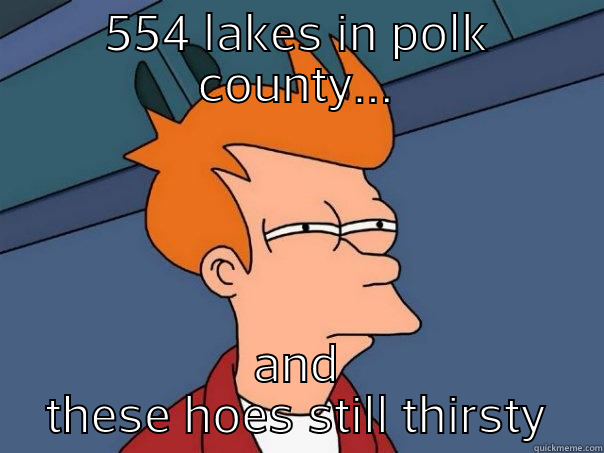 554 LAKES IN POLK COUNTY... AND THESE HOES STILL THIRSTY Futurama Fry