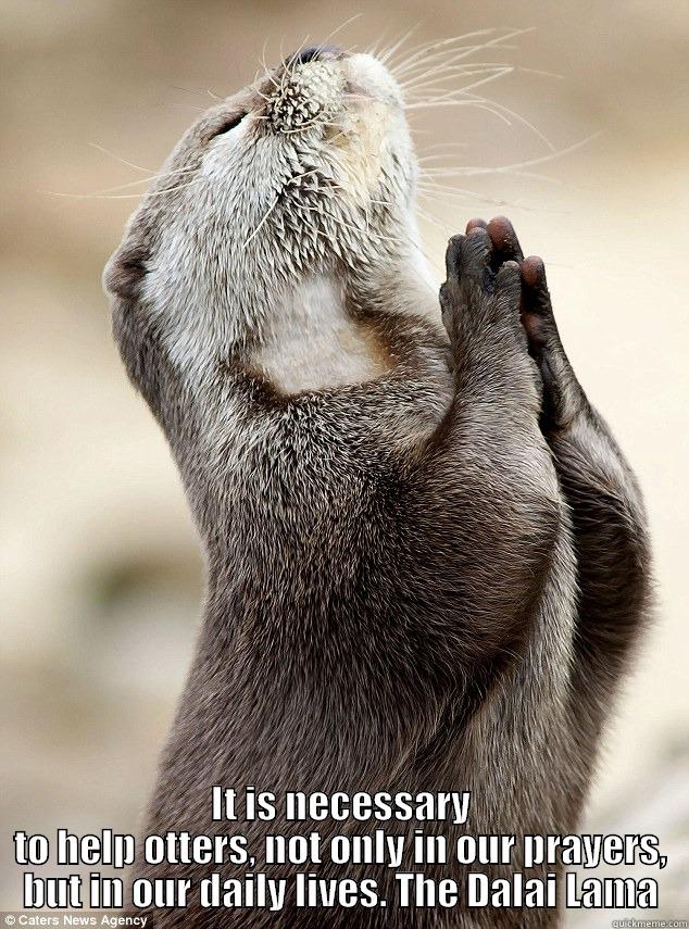  IT IS NECESSARY TO HELP OTTERS, NOT ONLY IN OUR PRAYERS, BUT IN OUR DAILY LIVES. THE DALAI LAMA Misc