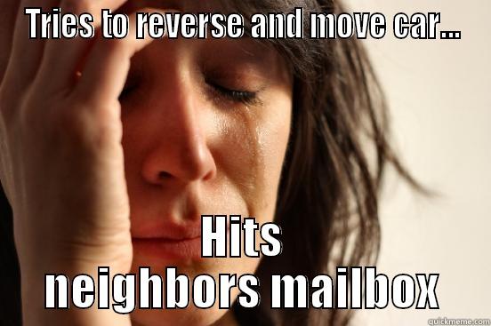 TRIES TO REVERSE AND MOVE CAR... HITS NEIGHBORS MAILBOX First World Problems