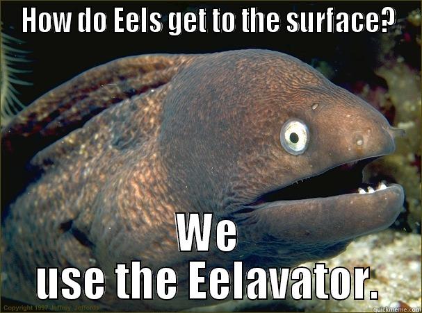 HOW DO EELS GET TO THE SURFACE? WE USE THE EELAVATOR. Bad Joke Eel