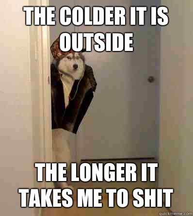 The colder it is outside The longer it takes me to shit  Scumbag dog