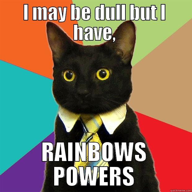 I MAY BE DULL BUT I HAVE, RAINBOWS POWERS Business Cat