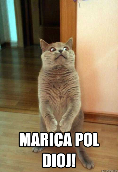  MARICA POL DIOJ!  Horrorcat