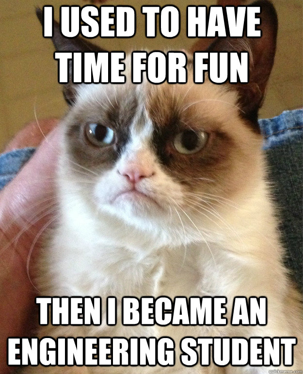 I used to have time for fun then I became an engineering student  Grumpy Cat