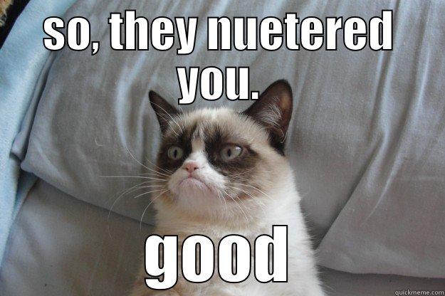 SO, THEY NUETERED YOU. GOOD Grumpy Cat