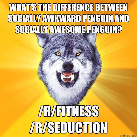 What's the difference between Socially Awkward Penguin and Socially Awesome Penguin? /r/fitness
/r/seduction  Courage Wolf