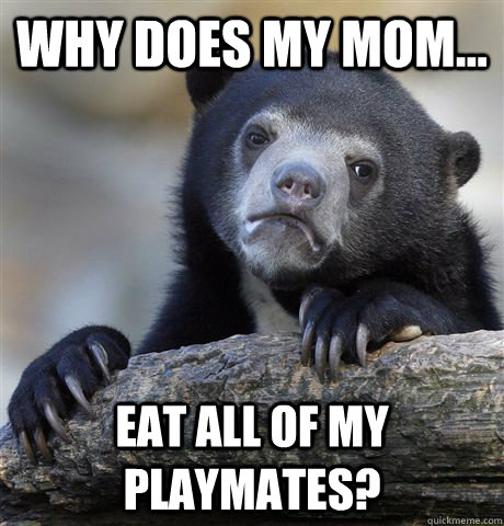 why does my mom... Eat all of my playmates?  Confession Bear