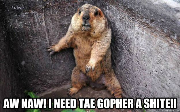  Aw naw! I need tae gopher a shite!! -  Aw naw! I need tae gopher a shite!!  gopher in a corner