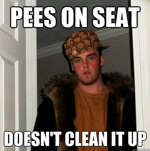 Pees on seat doesn't clean it up  Scumbag Steve