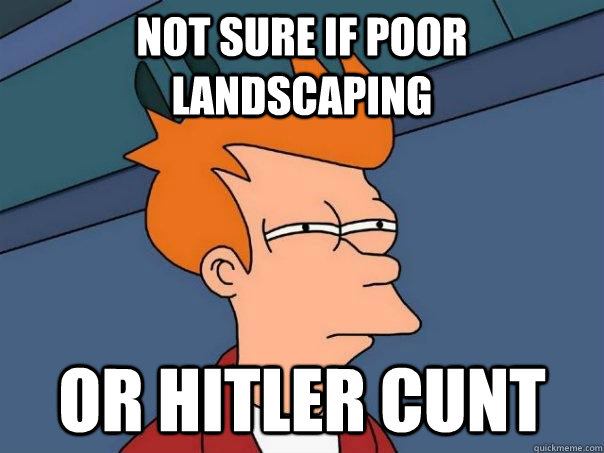 Not sure if poor landscaping Or hitler cunt - Not sure if poor landscaping Or hitler cunt  Futurama Fry