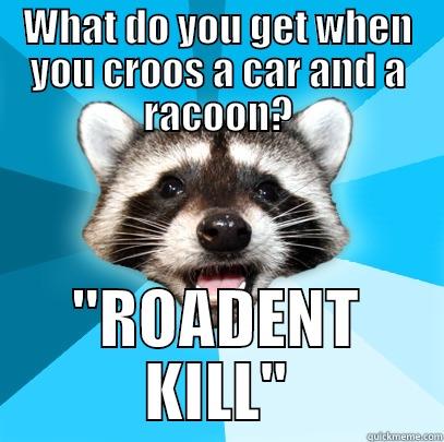 ...I DON'T EVEN! - WHAT DO YOU GET WHEN YOU CROOS A CAR AND A RACOON? 