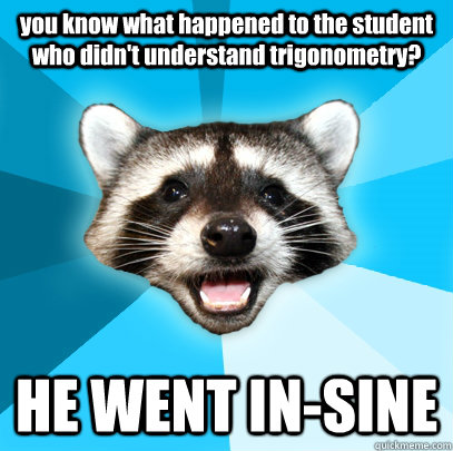 you know what happened to the student who didn't understand trigonometry? HE WENT IN-SINE - you know what happened to the student who didn't understand trigonometry? HE WENT IN-SINE  Lame Pun Coon