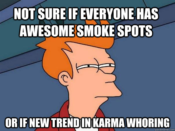 Not sure if everyone has awesome smoke spots  Or if new trend in karma whoring  Futurama Fry