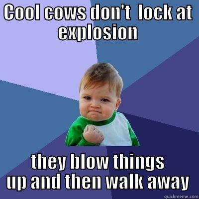 COOL COWS DON'T  LOCK AT EXPLOSION THEY BLOW THINGS UP AND THEN WALK AWAY Success Kid